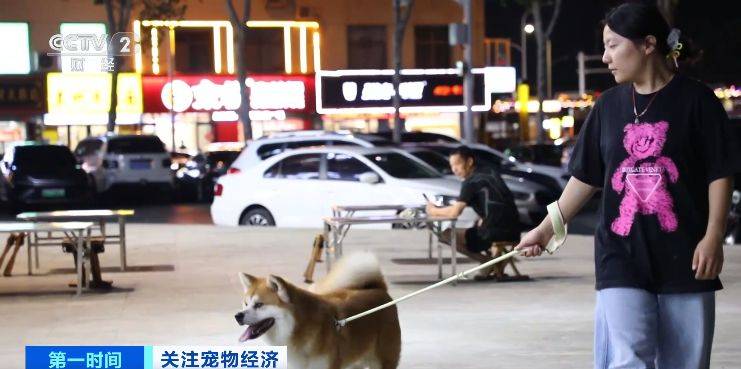 年我国宠物食品市场规模将突破1755亿元pg电子中文模拟器消费需求升级2025(图3)