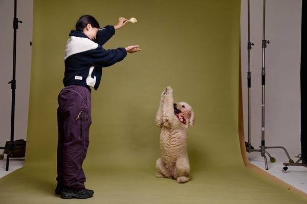 们带动物“逐梦演艺圈”pg电子模拟器试玩