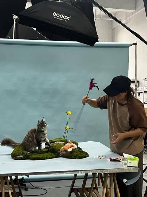 们带动物“逐梦演艺圈”pg电子模拟器试玩他(图3)