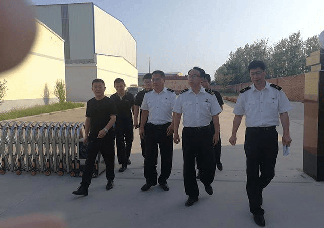 ：科学配方与适口性兼具的宠物食品精选指南