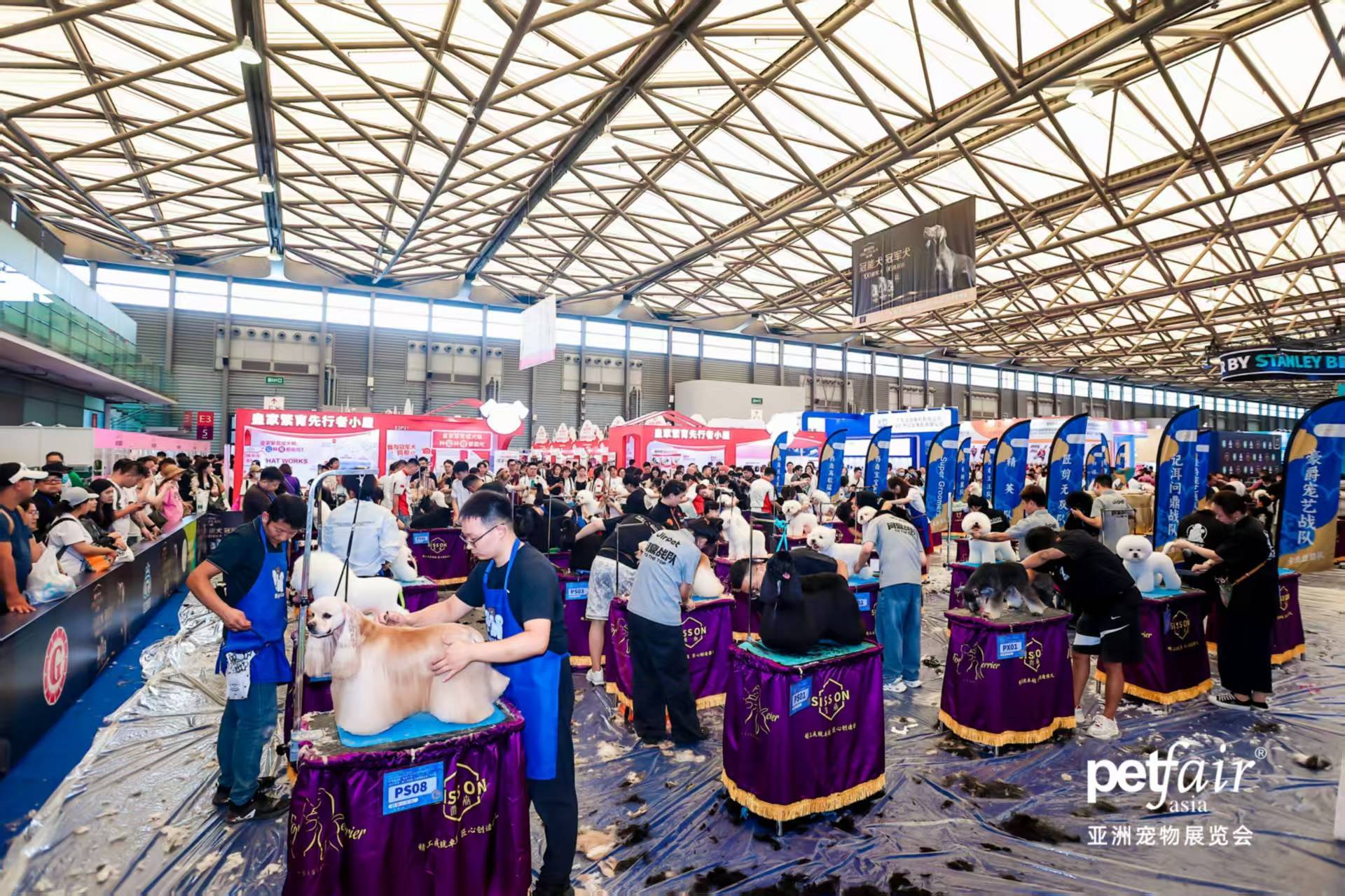 万人次围观亚宠展 120+智能黑科技集结pg电子模拟器免费试玩七成是年轻人！51(图2)
