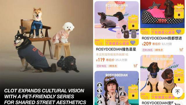 狗大市场赵露思、陈冠希纷纷加入pg模拟器电脑版3000亿猫(图3) 狗大市场赵露思、陈冠希纷纷加入pg模拟器电脑版3000亿猫(图3)