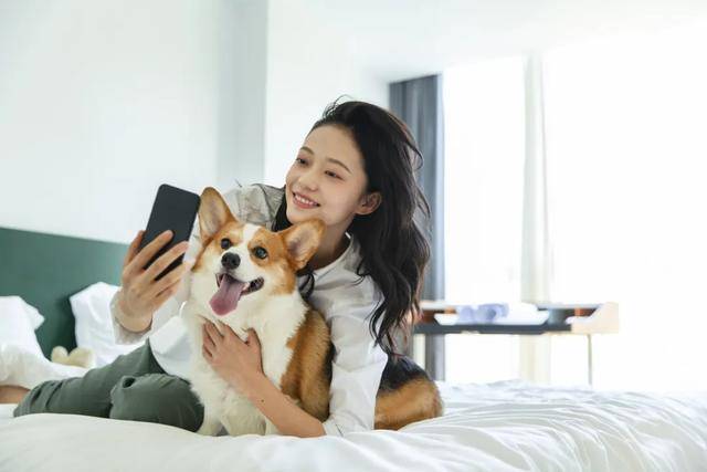 狗大市场赵露思、陈冠希纷纷加入pg模拟器电脑版3000亿猫(图5) 狗大市场赵露思、陈冠希纷纷加入pg模拟器电脑版3000亿猫(图5)